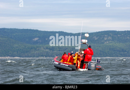 Les touristes dans un bateau gonflable Zodiac de l'Otis Excursions Inc., société des baleines sur le fleuve Saint-Laurent, Tadoussac, Banque D'Images