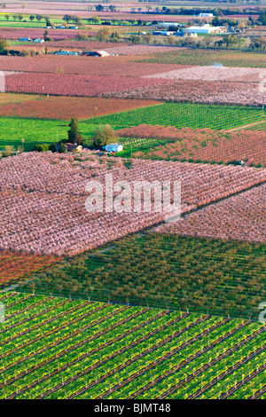 Fermes et vergers de pêchers en fleurs dans la Vallée de Sacramento de l'air. Banque D'Images