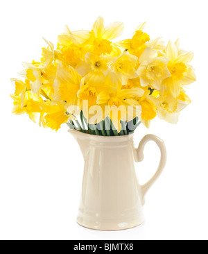 Un bouquet de jonquilles jaune joyeux en crème verseuse contre white background studio Banque D'Images