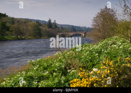 Invercauld Old Dee Bridge au-dessus de la rivière Dee, Braemar, Écosse Banque D'Images