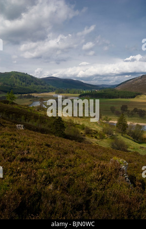 La rivière Dee qui traverse Mar Lodge Estate, Braemar, Ecosse Banque D'Images