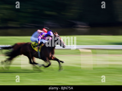 Deux courses de chevaux colorés photographié en utilisant le panoramique de la caméra à Arlington Park Racetrack, Arlington Heights, Illinois Banque D'Images