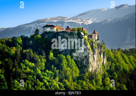 Le Château de Bled. Bled en Slovénie. Banque D'Images