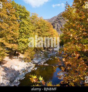 Paysage d'automne avec Chaya river dans la montagne des Rhodopes. Banque D'Images