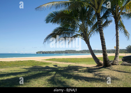 Cocotiers sur Waioli Beach Baie d'Hanalei Kauai HI Banque D'Images