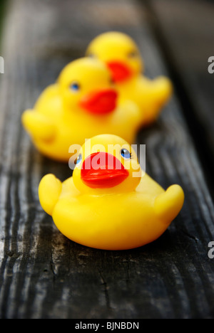 Jouet en caoutchouc canards dans une rangée Banque D'Images