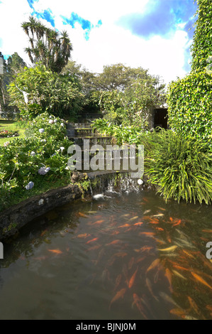 Mi Jardin es tu Jardin Boquete, Chiriqui Province Panama Banque D'Images