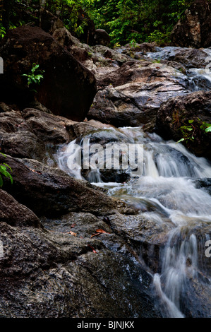 Thaïlande Koh Phangan cascade Banque D'Images