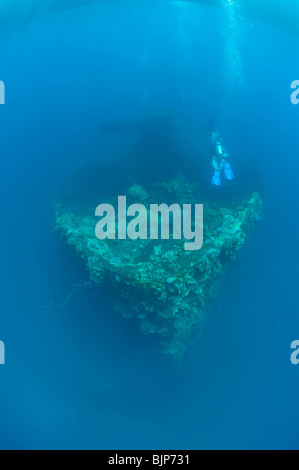 Wreck ship à Chuuk, Micronésie Banque D'Images