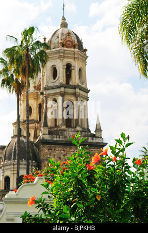 Hibiscus fleurs près de Temple de solitude ou Templo de la Soledad, Guadalajara, Jalisco, Mexique Banque D'Images