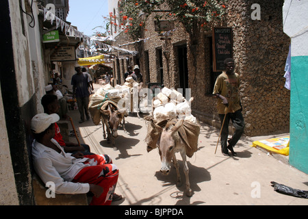 Les ânes qui travaillent fort dans les rues étroites de Lamu Banque D'Images