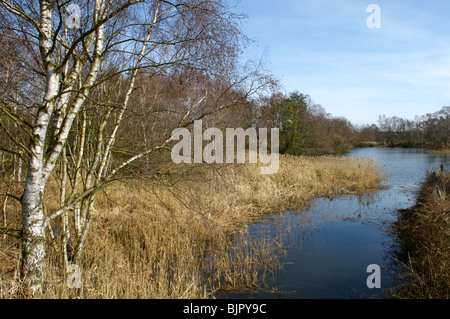 Pensthorpe Réserve naturelle en Norfolk, Grande-Bretagne Banque D'Images