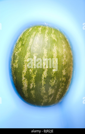 Melon d’eau Banque D'Images