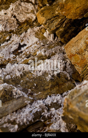 Close up de borax (rhyolite) dépôts de cristaux dans les parois du canyon de siltite de Golden Canyon dans Death Valley National Park Banque D'Images