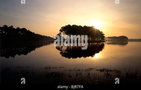 La réflexion dans l'aube brumeuse bassin de marée, Chincoteague National Wildlife Refuge, Assateague Island National Seashore, Virginia USA Banque D'Images