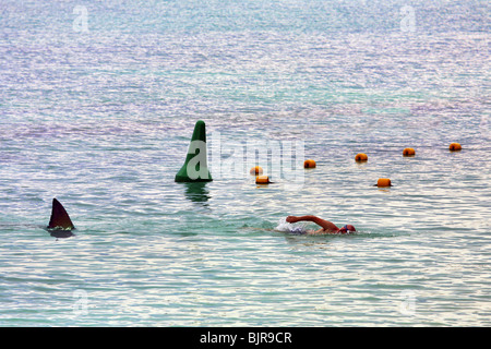 Piscine après que l'homme requin Banque D'Images