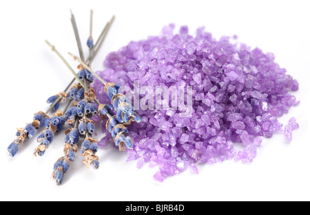 Poignée de sel de mer aromatisé avec des fleurs de lavande séchées. Banque D'Images