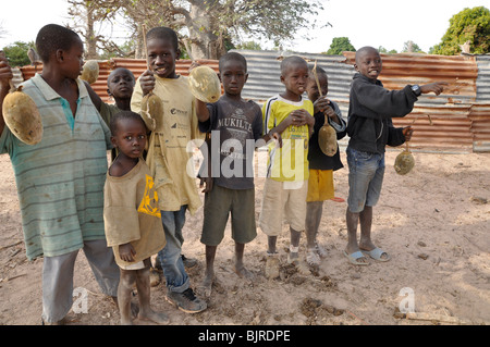 Les enfants avec les fruits du baobab en Gambie Banque D'Images