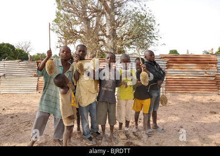 Les enfants avec les fruits du baobab en Gambie Banque D'Images