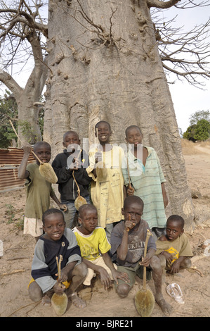 Les enfants avec les fruits du baobab en Gambie Banque D'Images