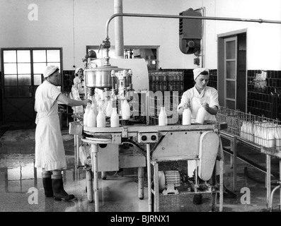 La production de lait, Zagreb, Yougoslavie, 1952. Artiste : Inconnu Banque D'Images