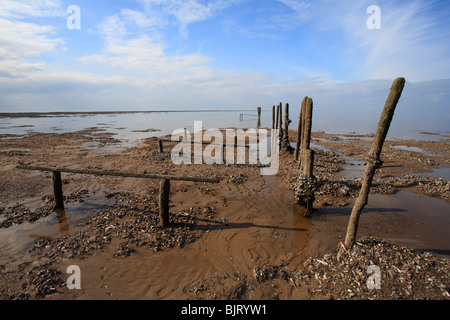 Les moulières à Old Hunstanton, Norfolk, à marée basse. Banque D'Images