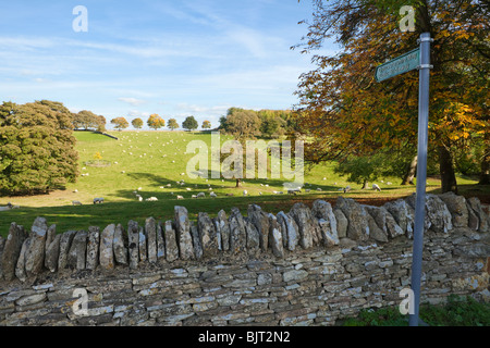 Champs de pâturage de moutons traversé par le Gloucestershire Cotswold Way à côté du village de Notgrove, Gloucestershire Banque D'Images