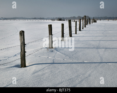 L'hiver sur les Elbmarsch région près de Tespe, Allemagne. Banque D'Images