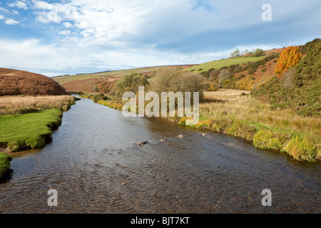 Exmoor une vue vers l'ouest jusqu'à la rivière Barle, pont de Landacre W de Withypool, Somerset Banque D'Images