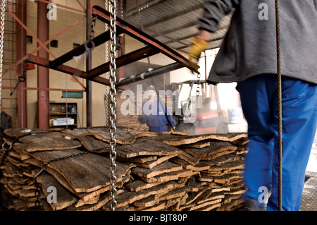 Cork Factory Worker S. bras Alportel Algarve Portugal. Matériel récolté pour la production de bouchons pour spiritueux de champagne et dans l'industrie de plancher Banque D'Images