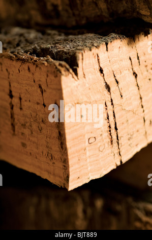 Cork Factory S. bras Alportel Algarve Portugal matériel récolté pour la production de bouchons de vin de champagne et dans l'industrie de plancher gros plan Banque D'Images