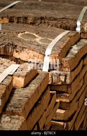 Cork Factory S. bras Alportel Algarve Portugal matériau de cheminée récolté pour la production de bouchons de vin de champagne et dans l'industrie de plancher Banque D'Images