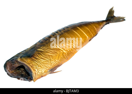 Or, maquereau fumé poisson de mer isolé sur fond blanc Banque D'Images