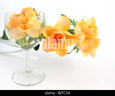 Bouquet de roses jaunes Banque D'Images