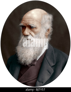 Charles Darwin, naturaliste britannique, 1878. Artiste : Inconnu Banque D'Images