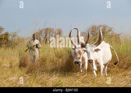 Au sud-Soudan, Cuibet près de Rumbek , tribu Dinka, Shepherd armés de Kalachnikov AK-47 protéger leurs vaches zébu bovins hostile de raider Banque D'Images