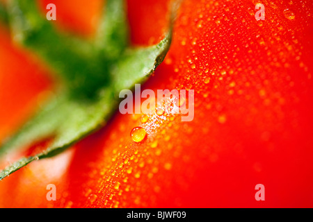 Tomate rouge avec des gouttelettes d'eau macro fond Banque D'Images