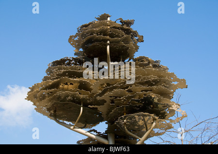 L'arbre du souvenir, des jardins de Piccadilly, Manchester, Angleterre, RU Banque D'Images