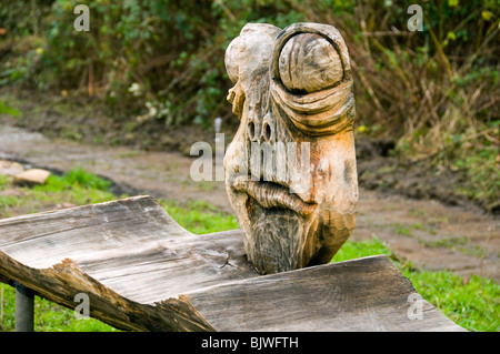 Sculpture de grenouilles au parc national Daisy NOOK, Failsworth, Greater Manchester, Angleterre, Royaume-Uni Banque D'Images