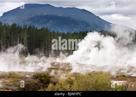 La vapeur dans la zone géothermique, Taupo, Nouvelle-Zélande Banque D'Images