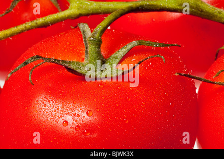 Tomate rouge avec des gouttelettes d'eau macro fond Banque D'Images