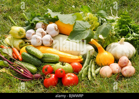 Des légumes frais Banque D'Images