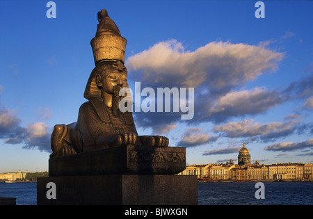 Russie,St Petersburg,37,sphinx Neva Banque D'Images