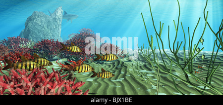 Scène sous l'eau avec les poissons et les plantes. Banque D'Images