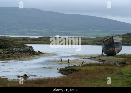 Paysage près de Schull, West Cork, Irlande Banque D'Images