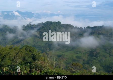 Vue sur la vallée de la Hacienda El Caney (plantation), dans la région de production de café, près de Manizales, Colombie. Banque D'Images