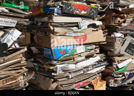Des piles de boîtes en carton pour recyclage prêt comprimé Banque D'Images