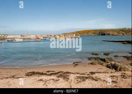 Cemaes Bay Anglesey au nord du Pays de Galles UK Banque D'Images