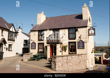 Le cerf à Szigetszentmiklós Anglesey au nord du Pays de Galles UK Banque D'Images