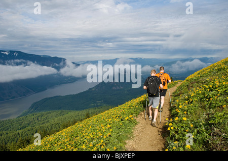 Les randonneurs et deltoïdes sur Sentier de montagne Chien, Columbia River Gorge National Scenic Area, Washington. Banque D'Images